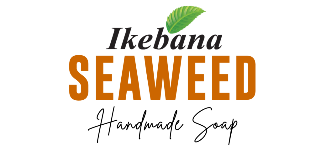 Seaweed-001