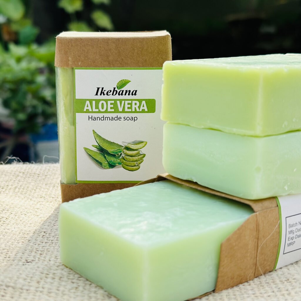 Aloe-Vare-004